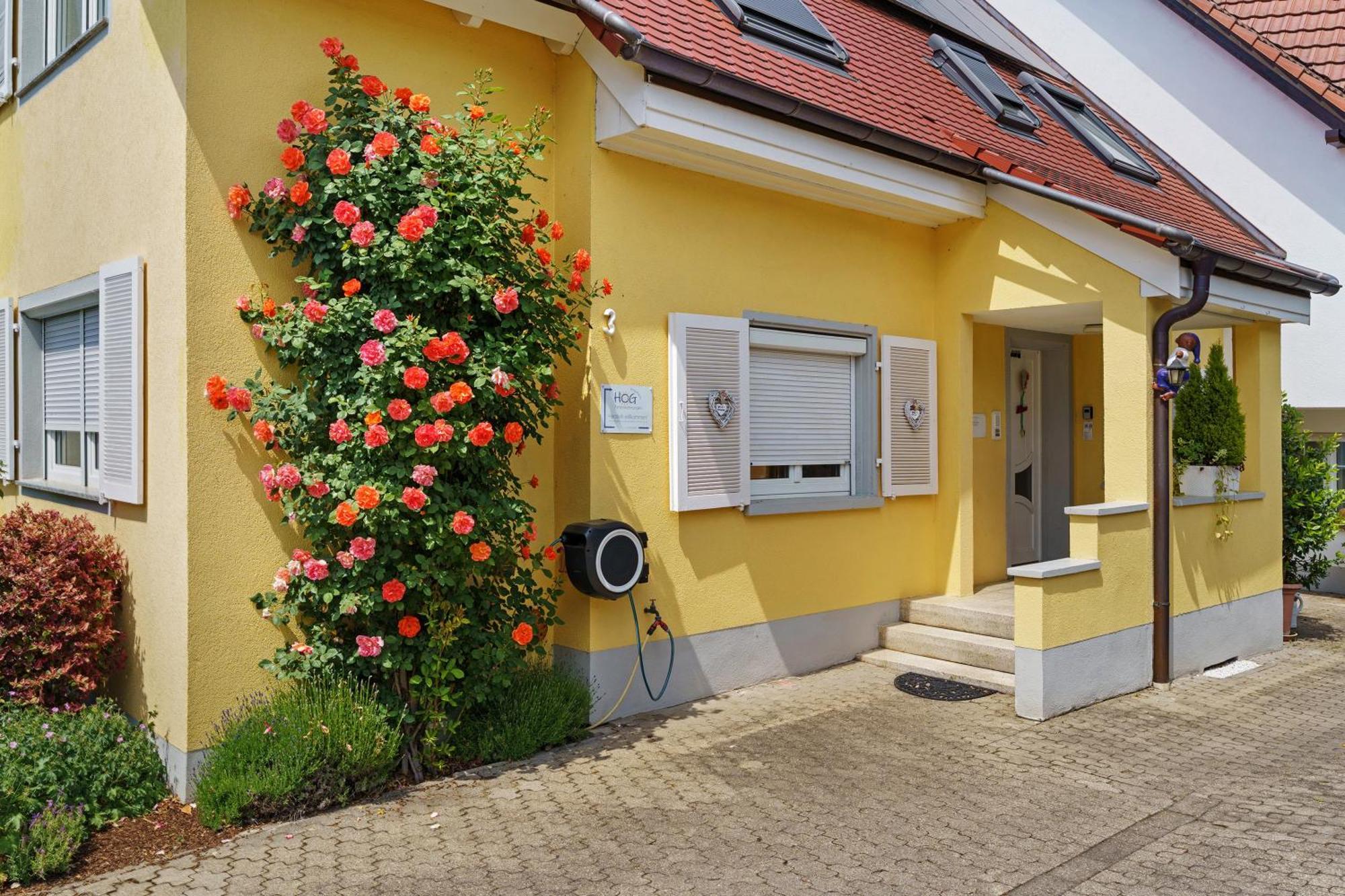 Ferienwohnungen Hog , Ringsheim Exterior photo
